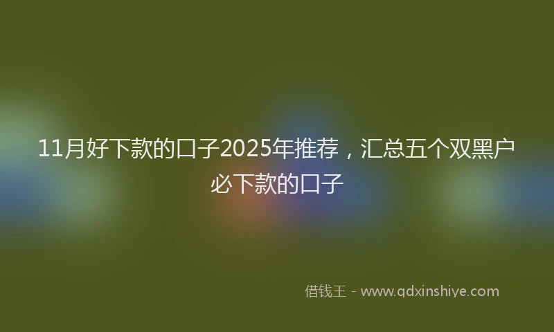 11月好下款的口子2025年推荐，汇总五个双黑户必下款的口子