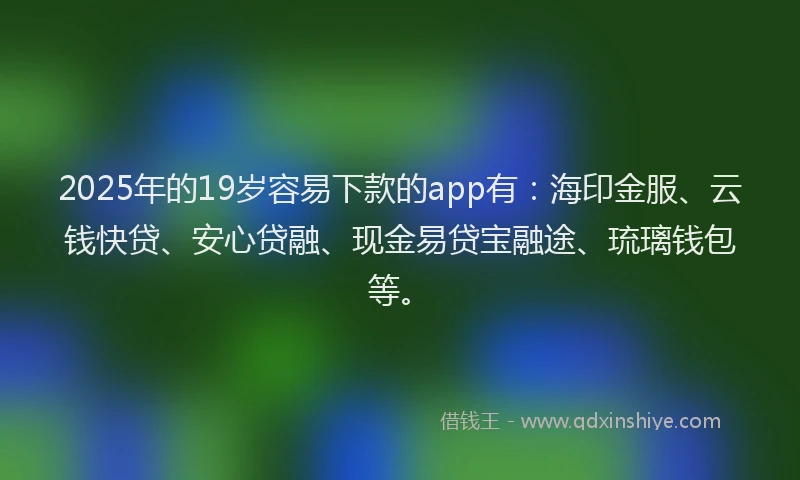 2025年的19岁容易下款的app有：海印金服、云钱快贷、安心贷融、现金易贷宝融途、琉璃钱包等。