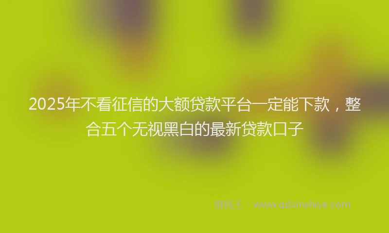 2025年不看征信的大额贷款平台一定能下款，整合五个无视黑白的最新贷款口子