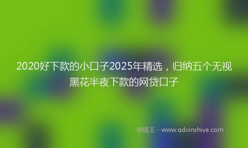2020好下款的小口子2025年精选，归纳五个无视黑花半夜下款的网贷口子