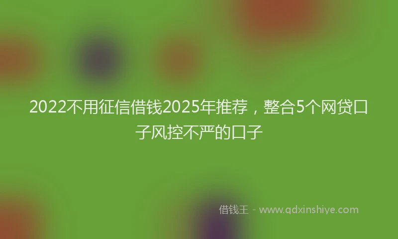 2022不用征信借钱2025年推荐，整合5个网贷口子风控不严的口子