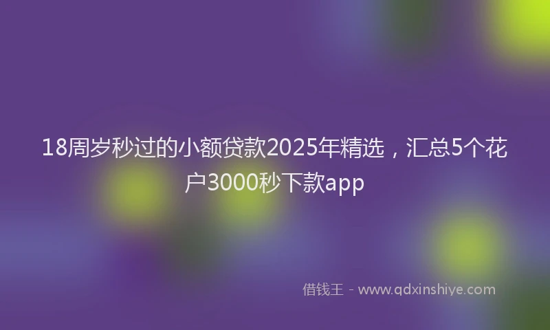 18周岁秒过的小额贷款2025年精选，汇总5个花户3000秒下款app