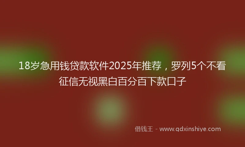 18岁急用钱贷款软件2025年推荐，罗列5个不看征信无视黑白百分百下款口子