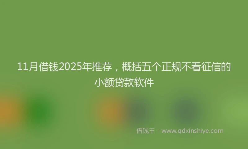 11月借钱2025年推荐，概括五个正规不看征信的小额贷款软件