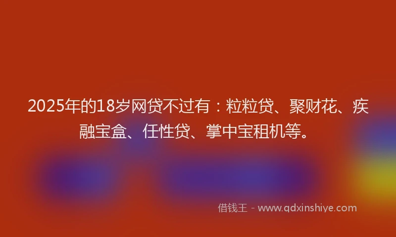 2025年的18岁网贷不过有：粒粒贷、聚财花、疾融宝盒、任性贷、掌中宝租机等。