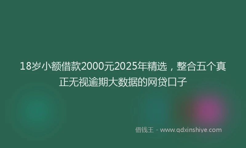 18岁小额借款2000元2025年精选，整合五个真正无视逾期大数据的网贷口子