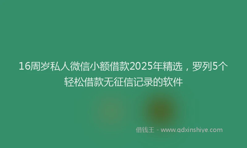16周岁私人微信小额借款2025年精选，罗列5个轻松借款无征信记录的软件