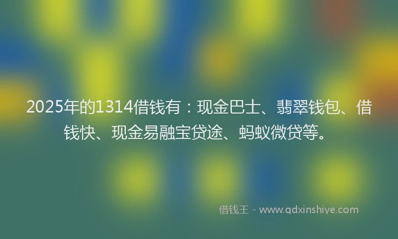 2025年的1314借钱有：现金巴士、翡翠钱包、借钱快、现金易融宝贷途、蚂蚁微贷等。