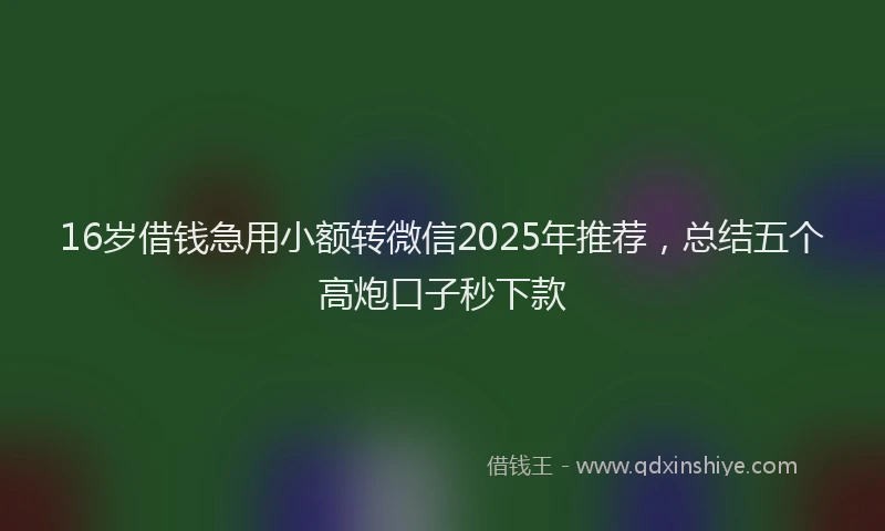 16岁借钱急用小额转微信2025年推荐，总结五个高炮口子秒下款