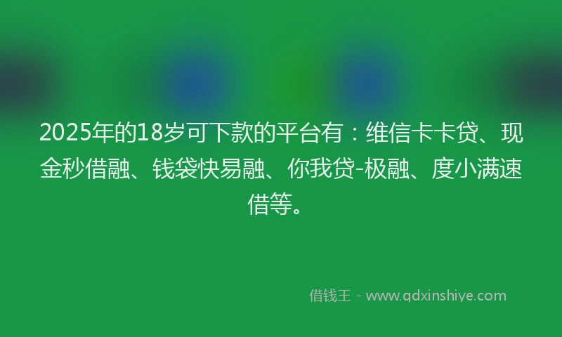 2025年的18岁可下款的平台有：维信卡卡贷、现金秒借融、钱袋快易融、你我贷-极融、度小满速借等。