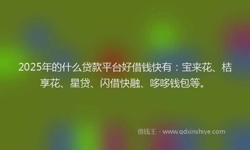 2025年的什么贷款平台好借钱快有：宝来花、桔享花、星贷、闪借快融、哆哆钱包等。