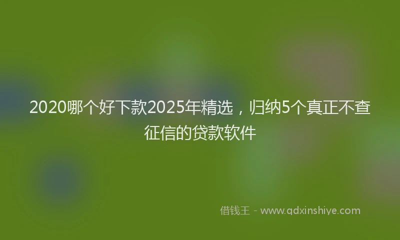 2020哪个好下款2025年精选，归纳5个真正不查征信的贷款软件