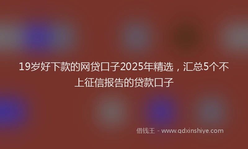 19岁好下款的网贷口子2025年精选，汇总5个不上征信报告的贷款口子