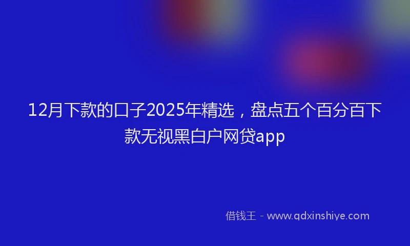 12月下款的口子2025年精选，盘点五个百分百下款无视黑白户网贷app