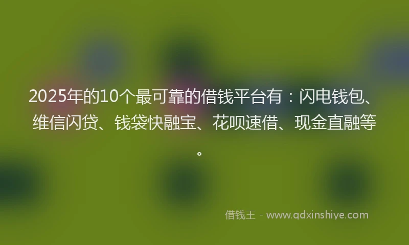 2025年的10个最可靠的借钱平台有：闪电钱包、维信闪贷、钱袋快融宝、花呗速借、现金直融等。