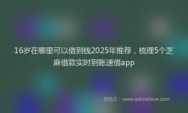 16岁在哪里可以借到钱2025年推荐，梳理5个芝麻借款实时到账速借app