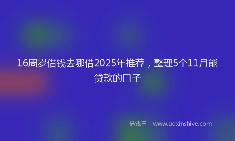 16周岁借钱去哪借2025年推荐，整理5个11月能贷款的口子