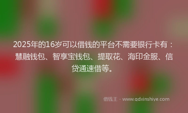 2025年的16岁可以借钱的平台不需要银行卡有：慧融钱包、智享宝钱包、提取花、海印金服、信贷通速借等。