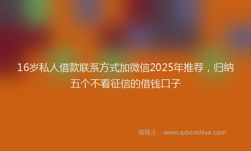 16岁私人借款联系方式加微信2025年推荐，归纳五个不看征信的借钱口子