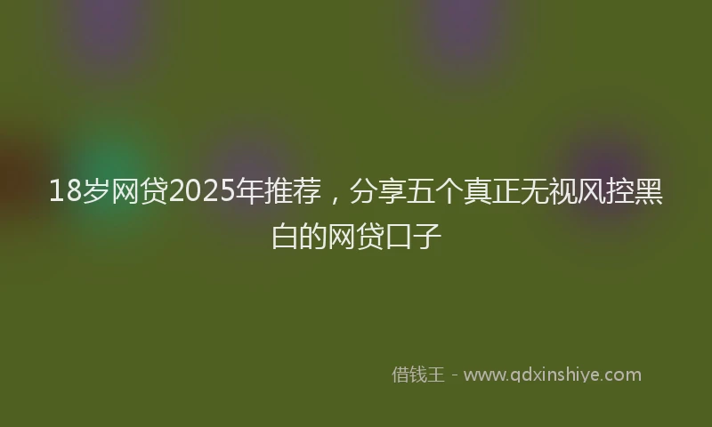 18岁网贷2025年推荐，分享五个真正无视风控黑白的网贷口子