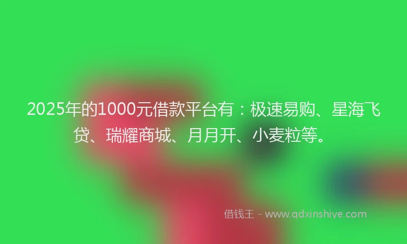 2025年的1000元借款平台有：极速易购、星海飞贷、瑞耀商城、月月开、小麦粒等。