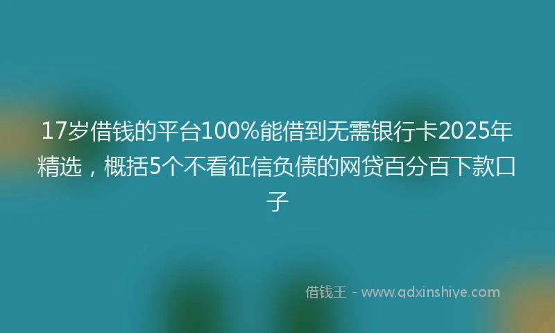 17岁借钱的平台100%能借到无需银行卡2025年精选，概括5个不看征信负债的网贷百分百下款口子