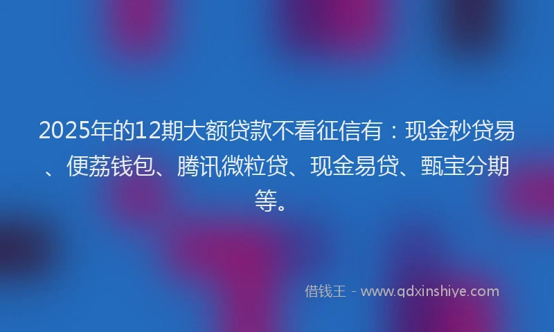 2025年的12期大额贷款不看征信有：现金秒贷易、便荔钱包、腾讯微粒贷、现金易贷、甄宝分期等。