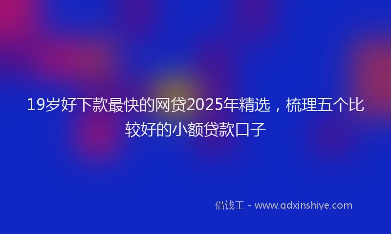 19岁好下款最快的网贷2025年精选，梳理五个比较好的小额贷款口子
