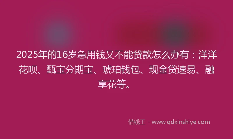 2025年的16岁急用钱又不能贷款怎么办有：洋洋花呗、甄宝分期宝、琥珀钱包、现金贷速易、融享花等。