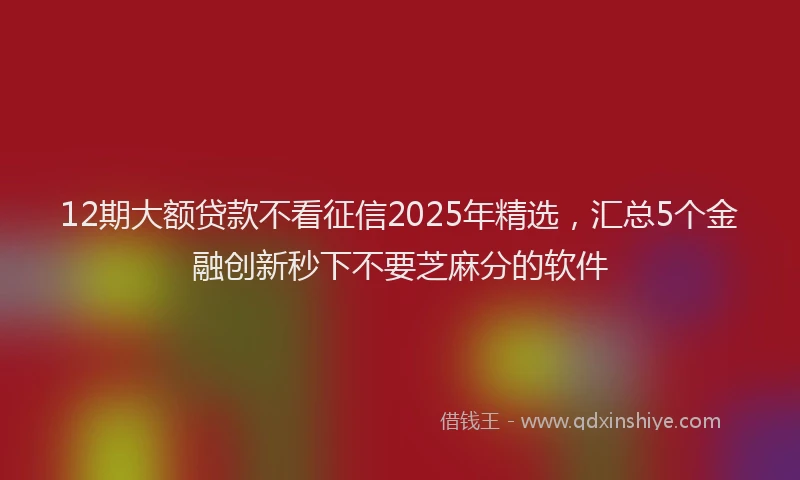 12期大额贷款不看征信2025年精选，汇总5个金融创新秒下不要芝麻分的软件