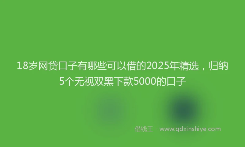 18岁网贷口子有哪些可以借的2025年精选，归纳5个无视双黑下款5000的口子