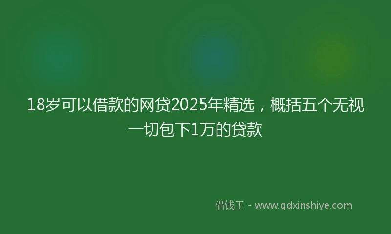 18岁可以借款的网贷2025年精选，概括五个无视一切包下1万的贷款