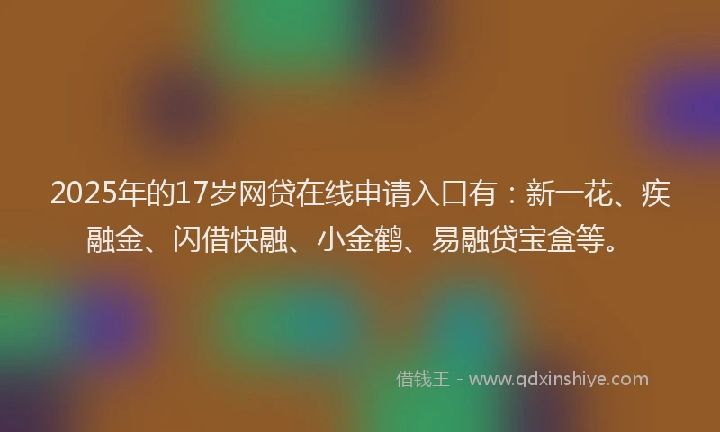 2025年的17岁网贷在线申请入口有：新一花、疾融金、闪借快融、小金鹤、易融贷宝盒等。