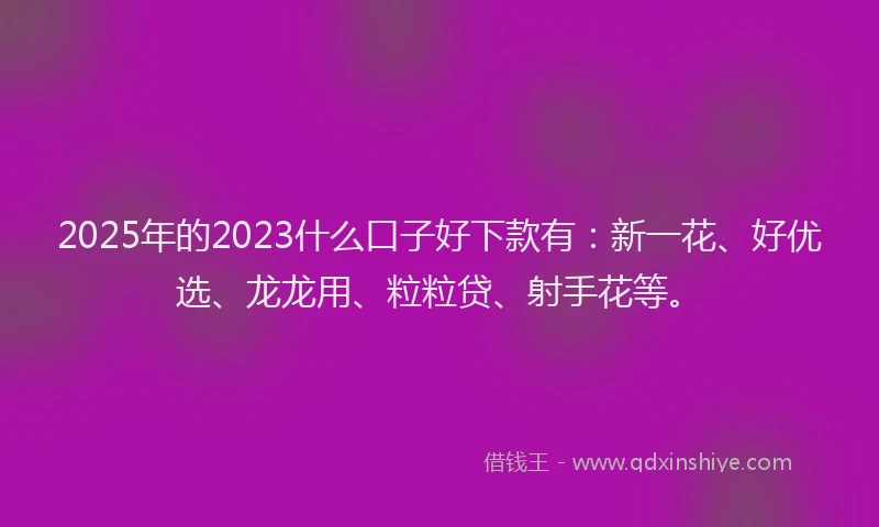 2025年的2023什么口子好下款有：新一花、好优选、龙龙用、粒粒贷、射手花等。