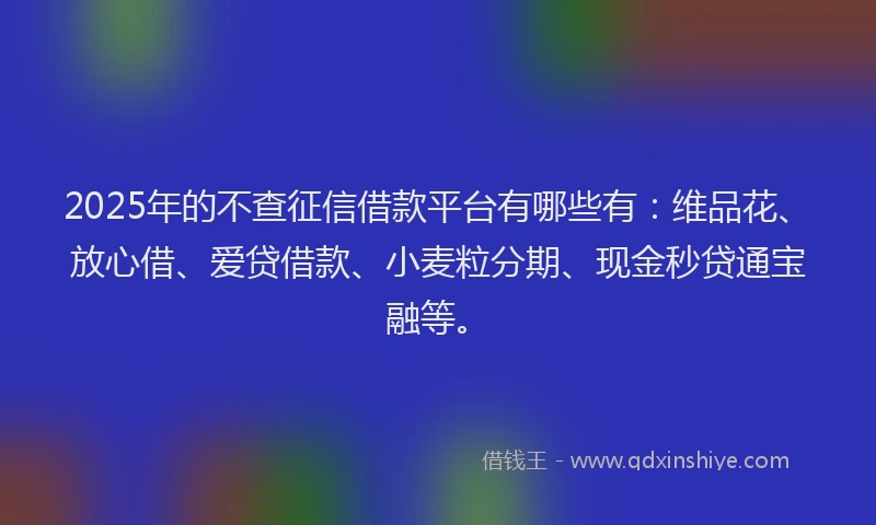 2025年的不查征信借款平台有哪些有：维品花、放心借、爱贷借款、小麦粒分期、现金秒贷通宝融等。