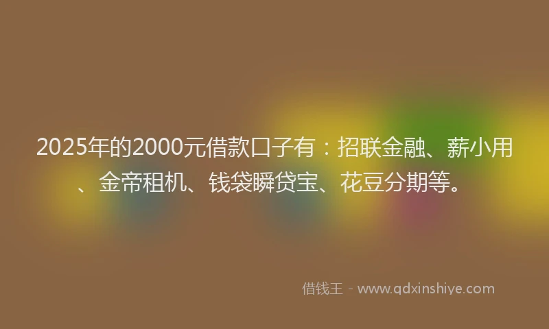 2025年的2000元借款口子有：招联金融、薪小用、金帝租机、钱袋瞬贷宝、花豆分期等。