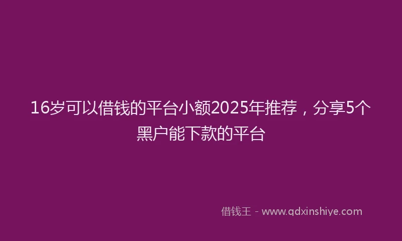 16岁可以借钱的平台小额2025年推荐，分享5个黑户能下款的平台