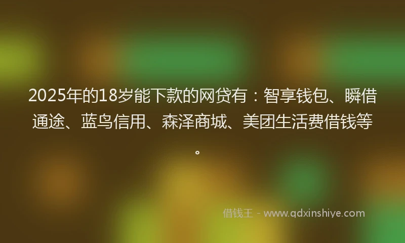 2025年的18岁能下款的网贷有：智享钱包、瞬借通途、蓝鸟信用、森泽商城、美团生活费借钱等。