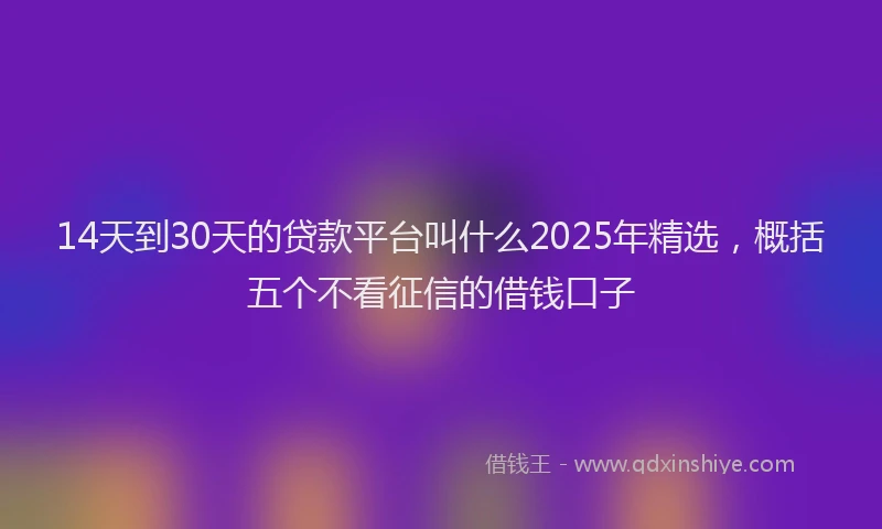 14天到30天的贷款平台叫什么2025年精选，概括五个不看征信的借钱口子