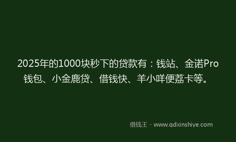 2025年的1000块秒下的贷款有：钱站、金诺Pro钱包、小金鹿贷、借钱快、羊小咩便荔卡等。