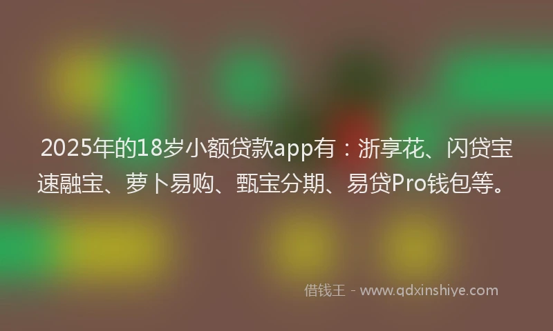 2025年的18岁小额贷款app有：浙享花、闪贷宝速融宝、萝卜易购、甄宝分期、易贷Pro钱包等。