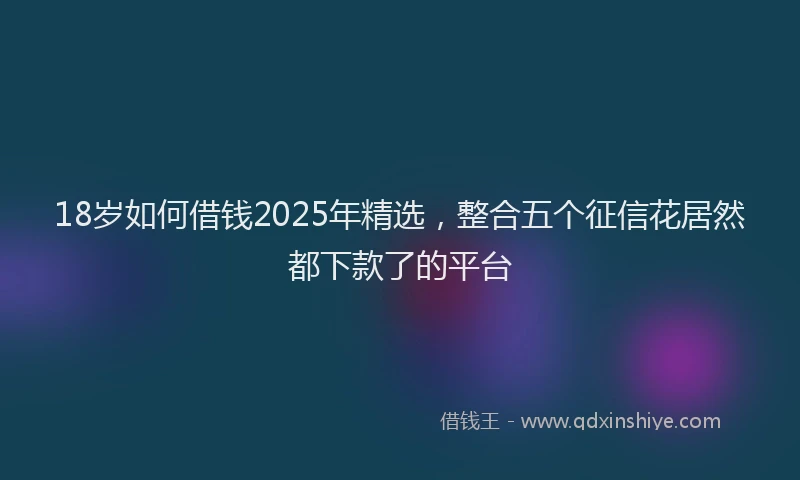 18岁如何借钱2025年精选，整合五个征信花居然都下款了的平台