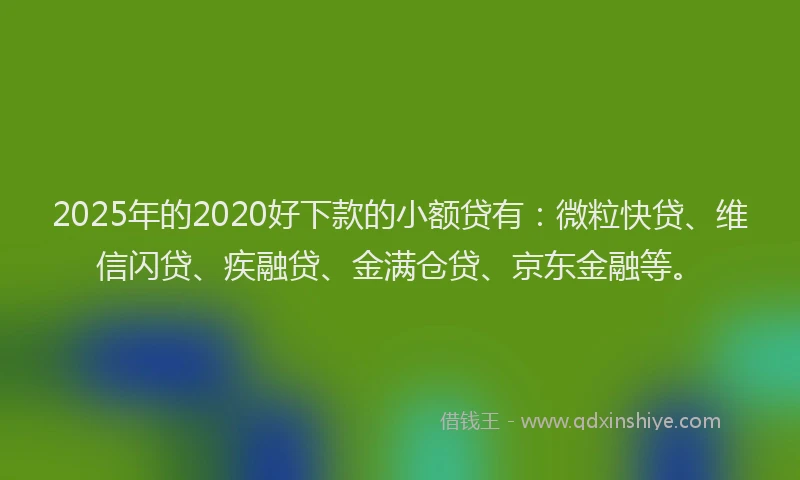 2025年的2020好下款的小额贷有：微粒快贷、维信闪贷、疾融贷、金满仓贷、京东金融等。