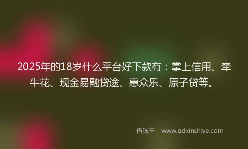 2025年的18岁什么平台好下款有：掌上信用、牵牛花、现金易融贷途、惠众乐、原子贷等。