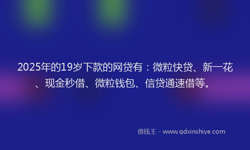 2025年的19岁下款的网贷有：微粒快贷、新一花、现金秒借、微粒钱包、信贷通速借等。