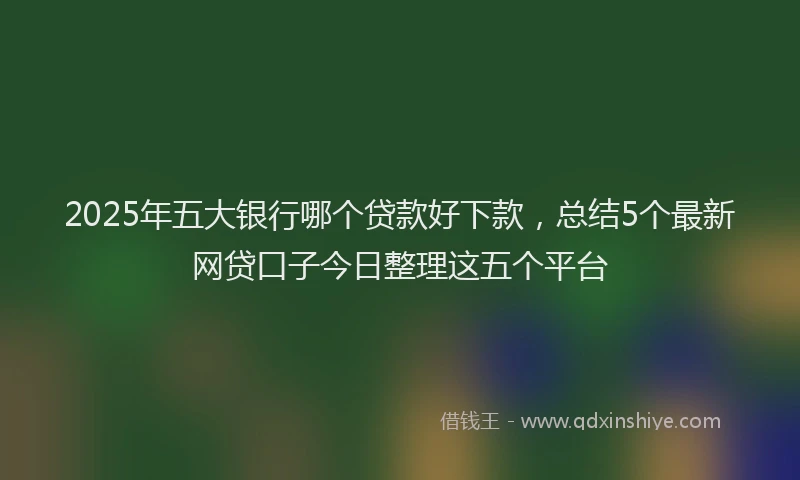 2025年五大银行哪个贷款好下款，总结5个最新网贷口子今日整理这五个平台