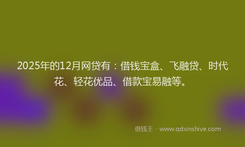 2025年的12月网贷有：借钱宝盒、飞融贷、时代花、轻花优品、借款宝易融等。