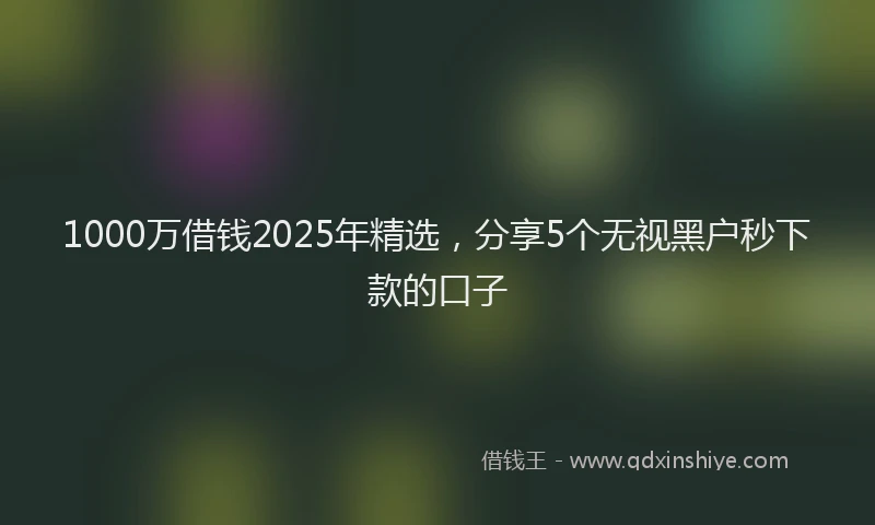1000万借钱2025年精选，分享5个无视黑户秒下款的口子
