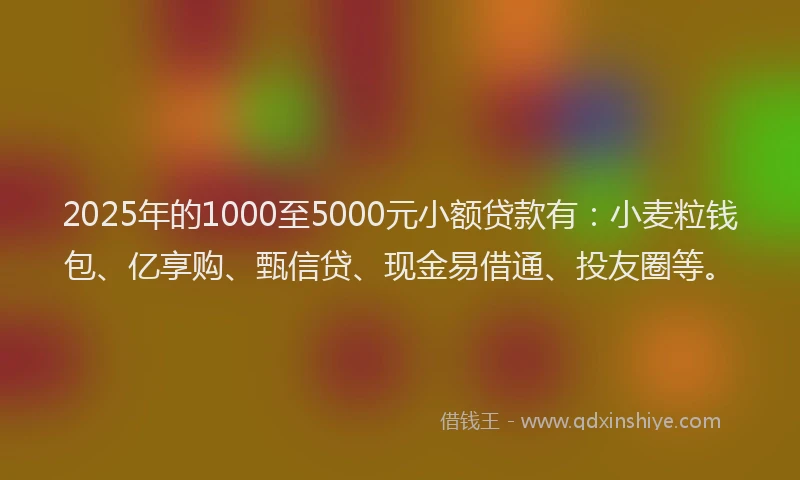 2025年的1000至5000元小额贷款有：小麦粒钱包、亿享购、甄信贷、现金易借通、投友圈等。