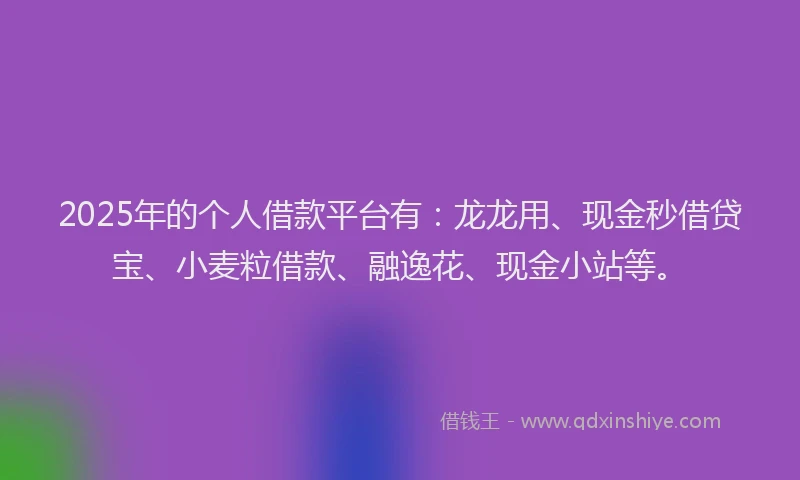 2025年的个人借款平台有：龙龙用、现金秒借贷宝、小麦粒借款、融逸花、现金小站等。